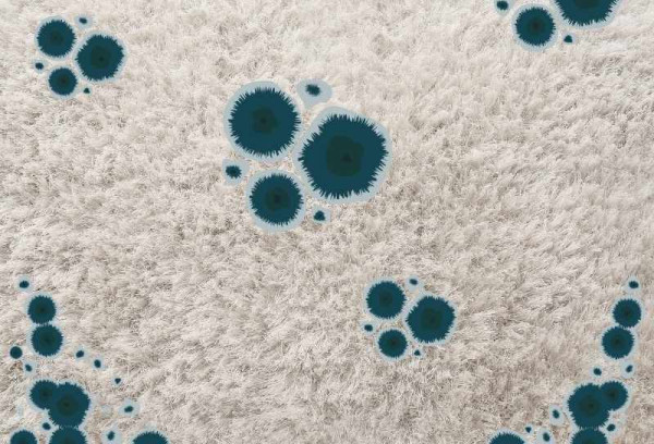 How To Get Rid Of Mold On Outdoor Carpets? Carpet Cleaning Tips